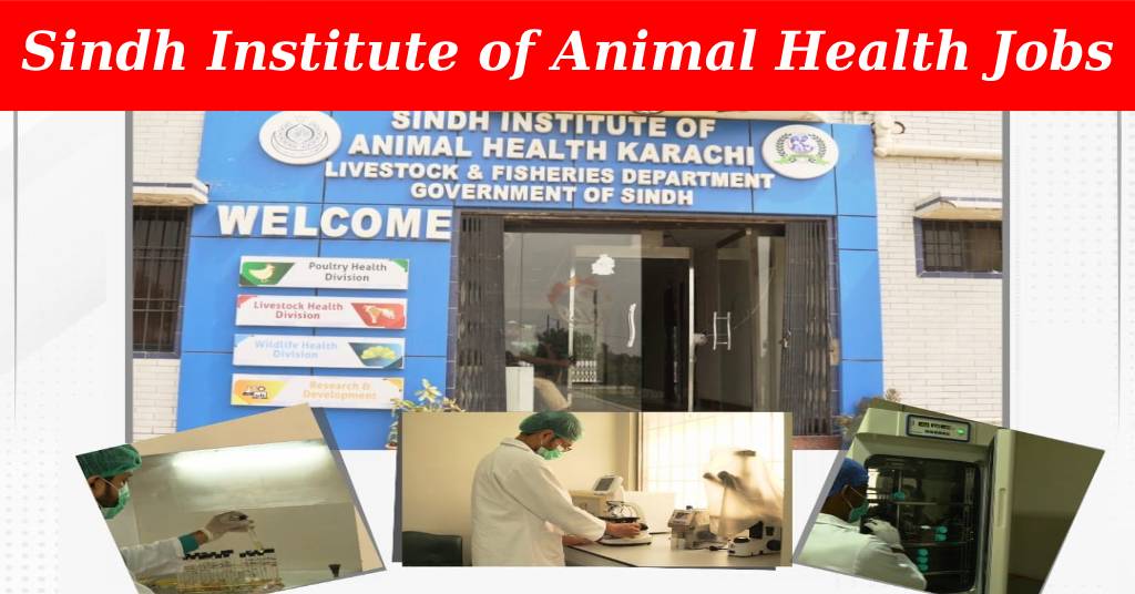 Sindh Institute of Animal Health Jobs